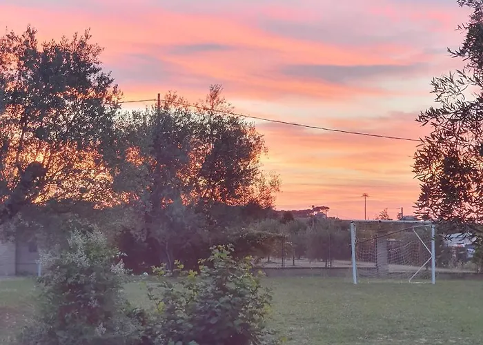 Glicine & フォルリ